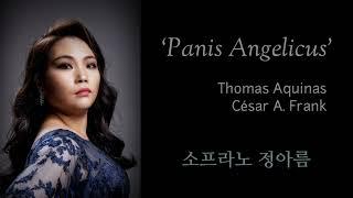 'Panis Angelicus(생명의 양식)' | 2015.09.12 제2회 Bel di Chorus 정기연주회 sᴏᴘʀᴀɴᴏ ᴀʀᴇᴜᴍ ᴊᴜɴɢ