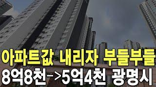 8억8천이 5억4천된 광명시 아파트값 내리자 부들부들