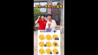 图中有几个蓝莓 #挑战#农村#日常#记录生活