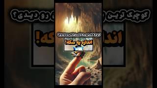 کوچک‌ترین پستاندار جهان رو دیدی؟  #شورتس  #شورت_ویدیو #دانستنی #کلیک #جالب