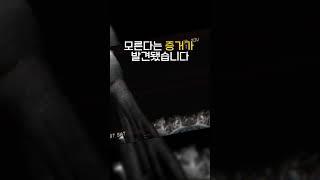크라켄은 실존한다? 심해에서 포착된 충격적인 장면