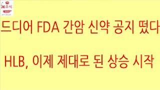 [HLB차트분석]드디어 재료 노출, 불확실성 해소로 거래량 동반 양봉이 나왔습니다. 아쉽게 외국인 프로그램 매도로 윗꼬리 발생했지만 괜찮습니다! #hlb #에이치엘비