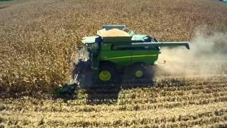 Fall Harvest