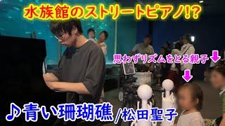 水族館にストリートピアノ!?「青い珊瑚礁/松田聖子」弾いたら親子がリズム取りはじめちゃった‪w‪w‪w【ストリートピアノ】