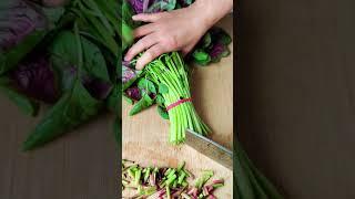 The process of cutting red amaranth stem