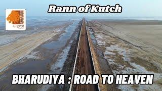 Bharudiya - Road to Heaven | Shree Ekal Dham | Vagad Kutch Gujarat | Rann of Kutch | Gujarat Tourism