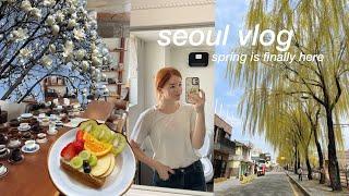 seoul vlog  spring week of my life in korea, suwon solo trip, bad air quality, cafe dates