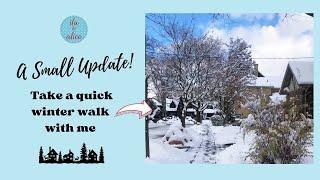 A Short Update Chat While We Walk in the Snow in My Neighbourhood