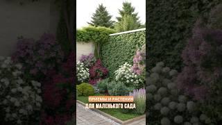Приёмы и растения для маленького сада #садоводство #дача