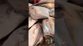 Wholesale Uran Naka Fish Market #shorts #viral #trending #youtubeshorts #wholesalemarket #fish