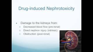 Altered Renal and Urologic Function (part 2)