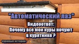 Автоматический лаз. Видеоответ: "Почему все мои куры всегда ночуют в курятнике"