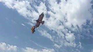 Мой воздушный змей / My Kite