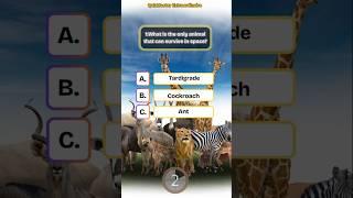  Ultimate Animal Quiz - Discover Unique Creatures of the World! #shorts