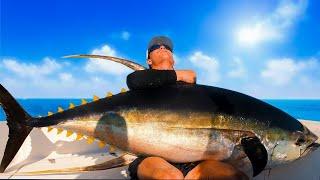 MONSTER Yellowfin From a 22FT Boat! {Topwater Incredible Footage!}