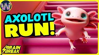 ️ The Axolotl Run ️ Brain Break ️ Coach W Song for Kids