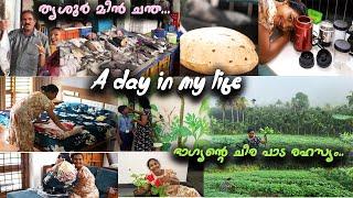 Today with memorning to night Thrissur fish market|| new velvet bed sheets||ABC Blender