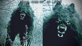 Most Disturbing Creatures Caught on Trail Cam 2025