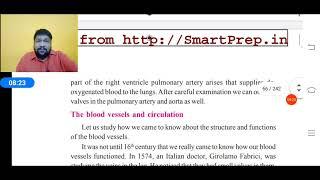 Circulatory System Grade 10