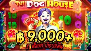 บ้านหมา พา MAX รอบ2!│สล็อต The dog house ค่าย » Pragmatic Play