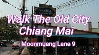 Chiang Mai Moat the Old City  Walk inside Moon Muang 9 Thailand 4kHD@60fps