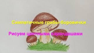 Как нарисовать Грибы боровики цветными карандашами