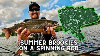 Solo Camping in Algonquin Park - How to Catch Summer Brook Trout