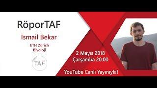 RöporTAF- İsmail BEKAR - ETH Zürich/ Biyoloji