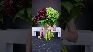 Надо выбрать один раз и даже вода не нужна ️ Последний день АКЦИИ на все виды гортензий ️