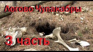 Нашел логово Чупакабры, куча костей вокруг норы 3\3 Chupacabra lair