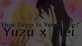 [AMV]- Citrus - Mei x Yuzu - 'How Deep Is Your Love ?'