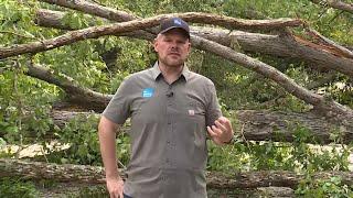 Hurricane Helene's Aftermath in Greenville, SC