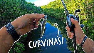 PESCA de CURVINAS con VINILOS en el MANGLAR