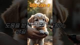 강아지꿈, 강아지 나오는 꿈 #꿈해몽 #예언 #예지몽 #강아지