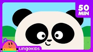Five Senses Song + More Songs for Kids   Lingokids