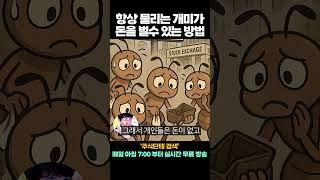 개인들도 수익 나는 법,  개미들은 이 영상 꼭 보셔야 합니다