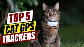 Best Cat GPS Trackers: Keep Your Feline Friend Safe