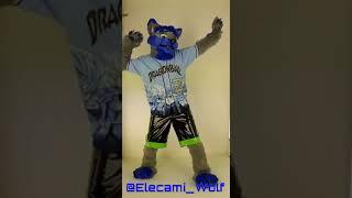 Furry timelapse #10: Elecami Wolf