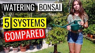 Watering Bonsai  |  How to water your bonsai trees  |  part 1