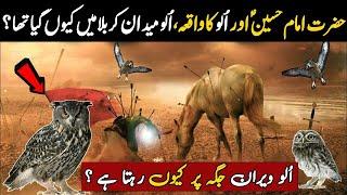 Hazrat Imam Hussain aur Ullu Ka Waqia  | Kiya Ullu Karbala Ma Midan Ma Gaya Tha | Islamic Stories