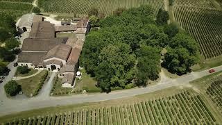 Château MANGOT, SAINT-EMILION GRAND CRU