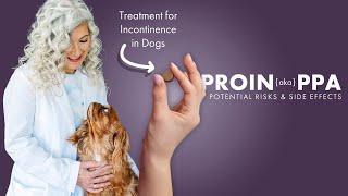 Proin/PPAIncontinence Medicine for Dogs️Potential Risks & Side Effects