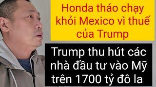 Thôi tiêu rồi, tôi đã sai lầm khi bầu cho Trump | hàng hóa Mỹ tăng cao vì Trump đánh thuế các nước?