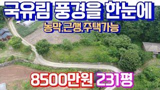 평당37만원 양평토지급매매물 8천5백만원  국유림 산촌마을 풍경이 평온한 알땅 231평 급매입니다. 농막, 근생, 주택 건축가능해요 & 용문숲부동산3778 #양평토지매매 #양평땅