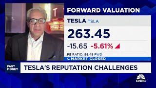 Tesla's reputation in rapid decline, says leadership expert Gautam Mukunda