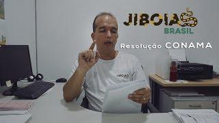 Posso andar com minha Jiboia na rua? - Resolução CONAMA 489/2018