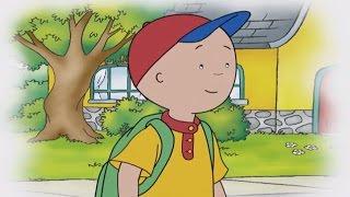 ■■ Caillou Full Episodes | Caillou the Patient!  Hour Long Compilation Special! | Brand New HD! ■■