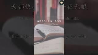 点歌的人 - 海来阿木 (EngSub) #lyrics #hailaiamu #music #fyp #felixvibes