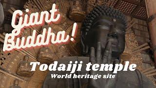 Todaiji Temple  Giant Buddha World heritage - Walking Tour And Travel Guide 2022