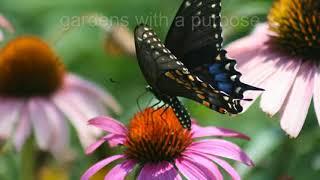 Artistic & Sustainable Garden Design for Wildlife -- Monarch Gardens LLC